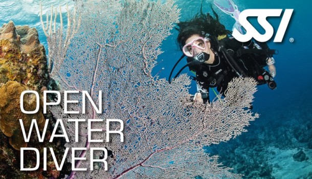 corso open water diver a Parma