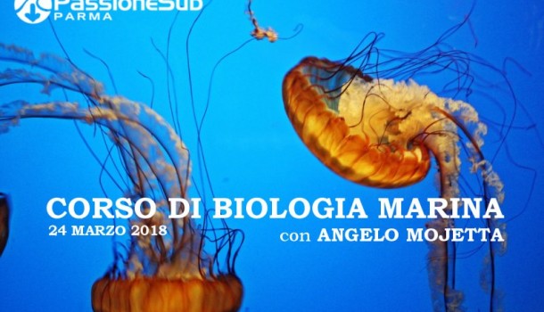 corso di biologia marina